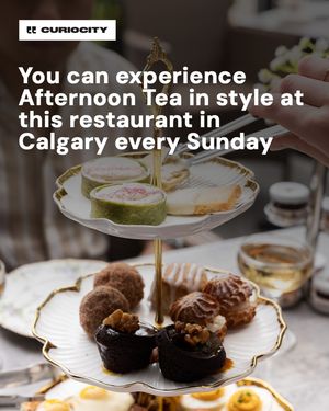 Image post by @curiocitycalgary on Instagram