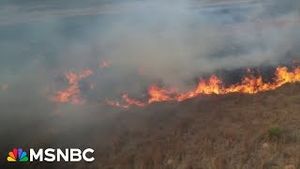 Video post by @msnbc on YouTube
