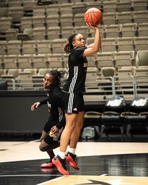 Image post by @uapblionswbb on Instagram
