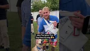 Video post by @bswjakepaulclips on YouTube