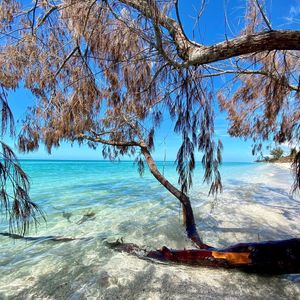 Image post by @visitsarasotacounty on Instagram