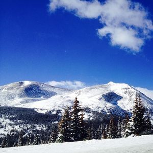 Image post by @brandonrski on Instagram