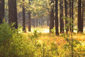 Image post by @djs_photo_lens on Instagram