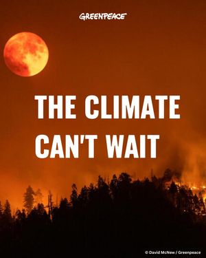 Image post by @greenpeace on Instagram