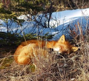 Image post by @nationalparkservice on Instagram