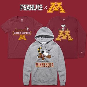 Image post by @everythingcollegehockey on Instagram