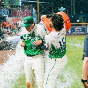 Image post by @hartfordyardgoats on Instagram