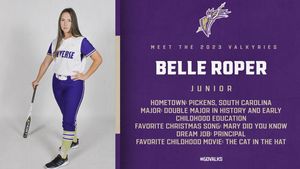 Image post by @valkyriessoftball on Instagram