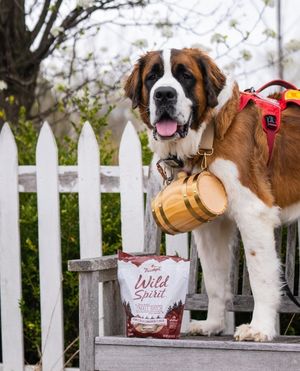 Image post by @triumphpetfood on Instagram