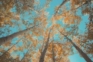 Image post by @nauflagstaff on Instagram