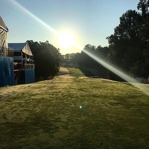 Image post by @lukedonald on Instagram