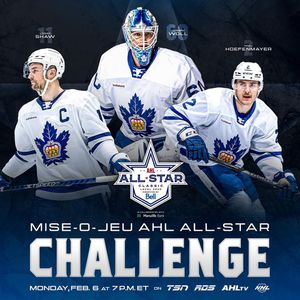 Image post by @torontomarlies on Instagram
