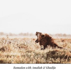 Image post by @amaliah_com on Instagram