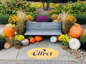 Image post by @olivetnazarene on Instagram