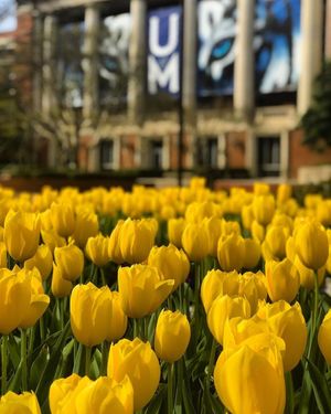 Image post by @uofmhealthsci on Instagram