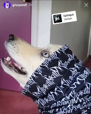 Image post by @varkanofficial on Instagram