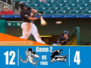Image post by @gohammerheads on Instagram