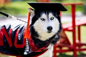 Image post by @northeastern on Instagram