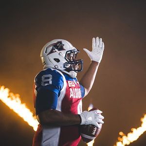 Image post by @mtlalouettes on Instagram