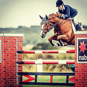 Image post by @snaffle_it on Instagram