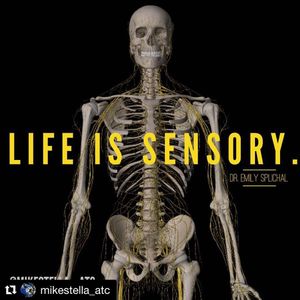 Image post by @naboso_technology on Instagram