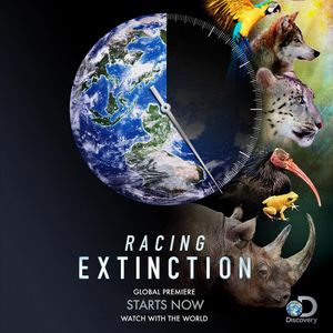 Image post by @discovery on Instagram