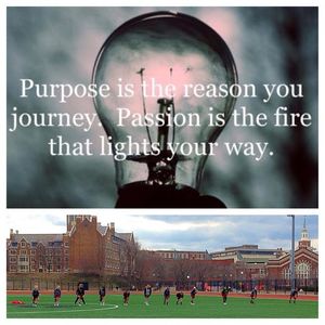 Image post by @gobearcatslax on Instagram