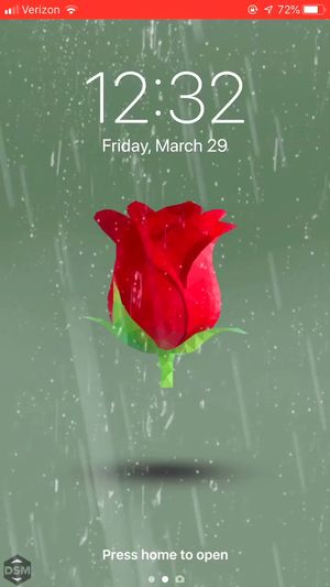 Video post by @dive13_ on Twitter