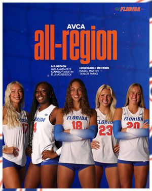Image post by @GatorsVB on Twitter