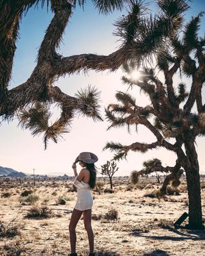 Image post by @fotowill on Instagram