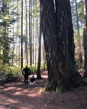 Image post by @pvellner on Instagram