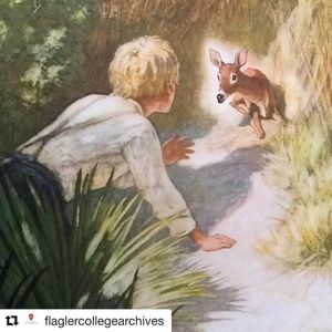 Image post by @stjohnscountylibrary on Instagram