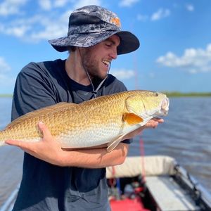 Image post by @lafishfry on Instagram