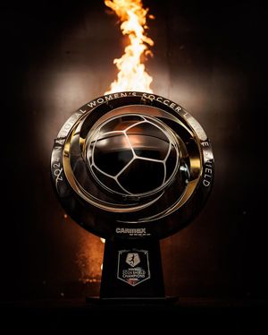 Image post by @nwsl on Instagram