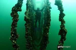 Image post by @gettyimages on Instagram