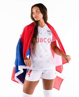 Image post by @RedStarsReport on Twitter