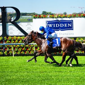 Image post by @australianturfclub on Instagram