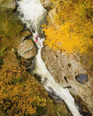 Image post by @nicktroutmankayak on Instagram