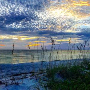 Image post by @visitsarasotacounty on Instagram