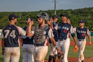 Image post by @BaseballCzech on Twitter
