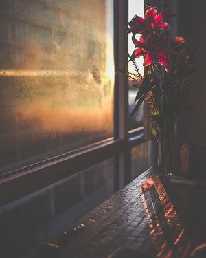 Image post by @adrianwilliamsnyc on Instagram