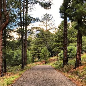 Image post by @nauflagstaff on Instagram