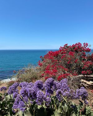 Image post by @centeredbydesign on Instagram