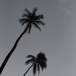 Image post by @maxzaharenkov on Instagram