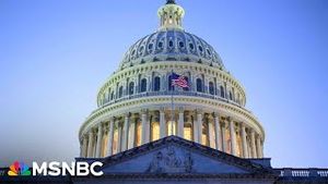 Video post by @msnbc on YouTube
