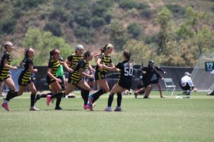 Image post by @houndsacademy on Instagram