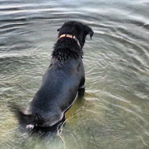 Image post by @matt.greenwald on Instagram