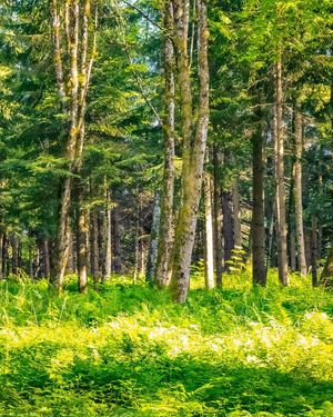 Image post by @cristan.nature.photography on Instagram