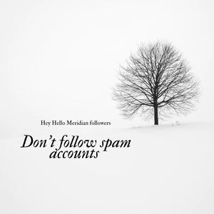 Image post by @hellomeridian on Instagram