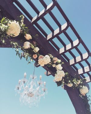 Image post by @thebloombartx on Instagram